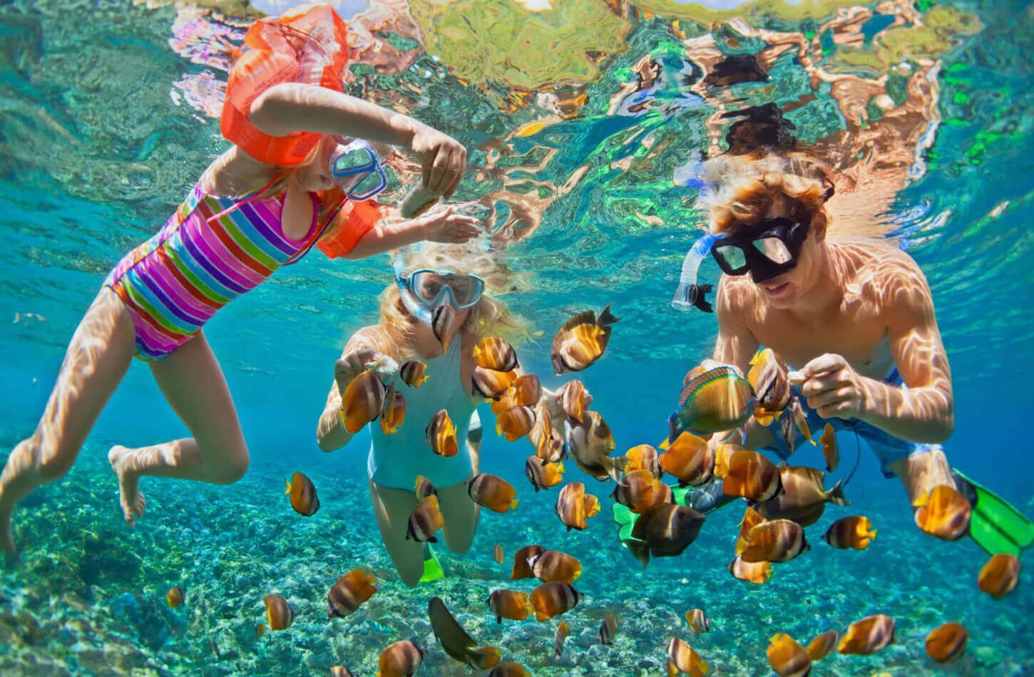 Snorkeling in Sharm El Sheikh